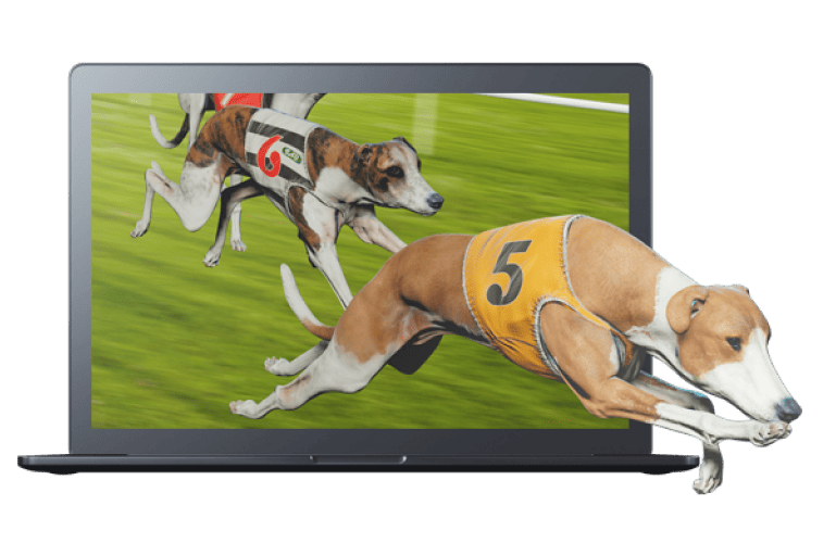 Professional gaming platform interface and technology infrastructure